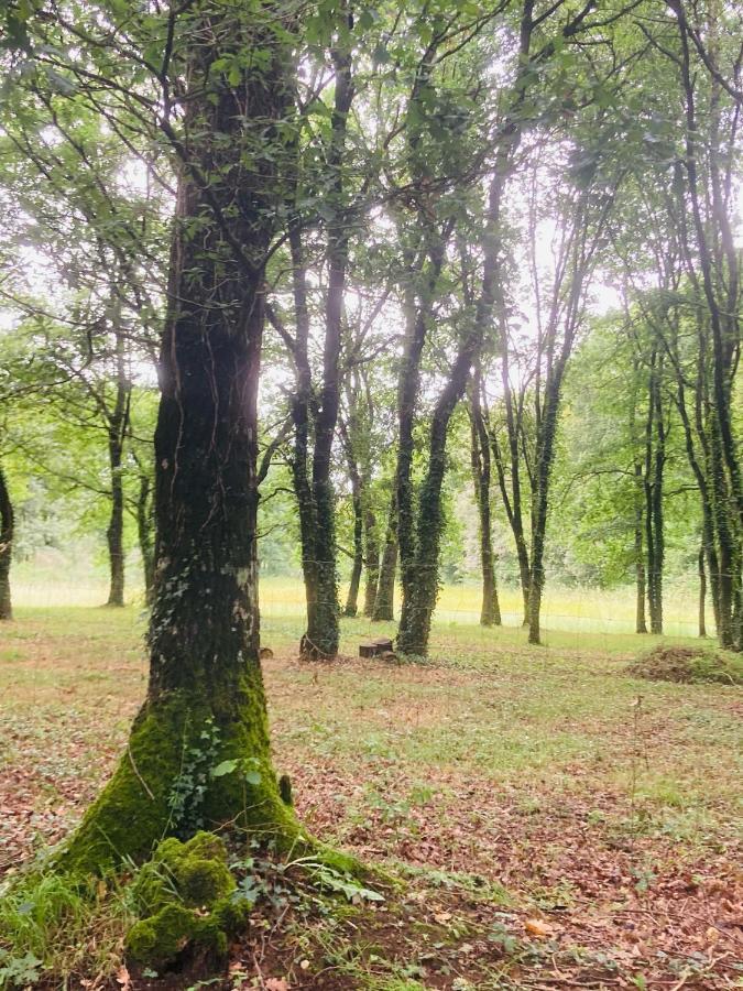 Camping Vila De Sarria Exteriér fotografie