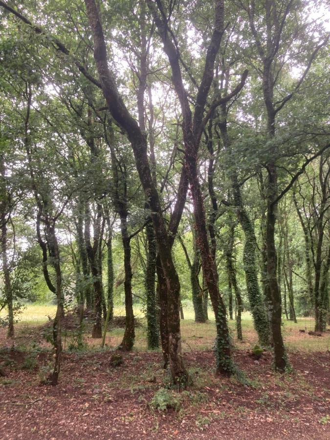 Camping Vila De Sarria Exteriér fotografie